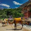 exursion-vall--e-ourika.jpg