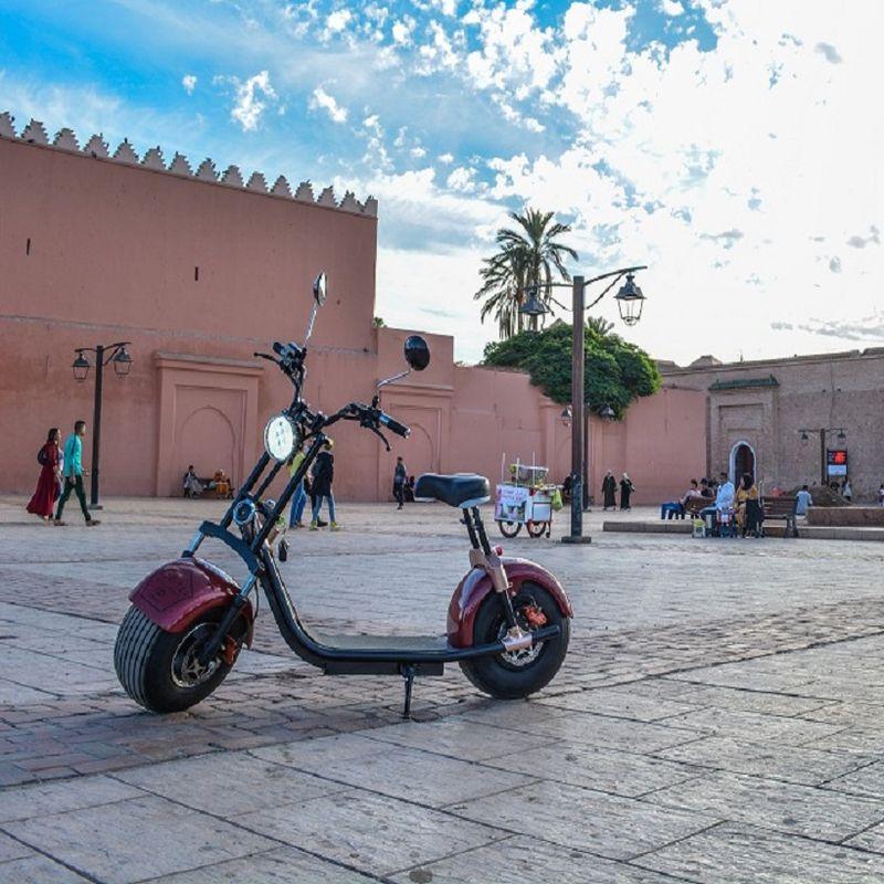 Transport Ecologique & Mobilité Durable
