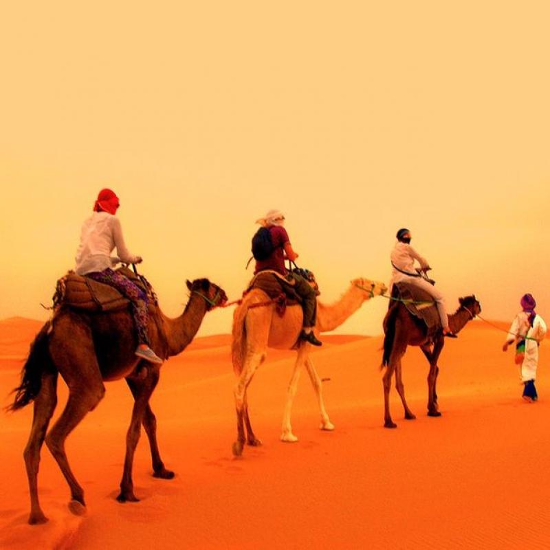 Partir à la découverte du désert : Zagora & Merzouga