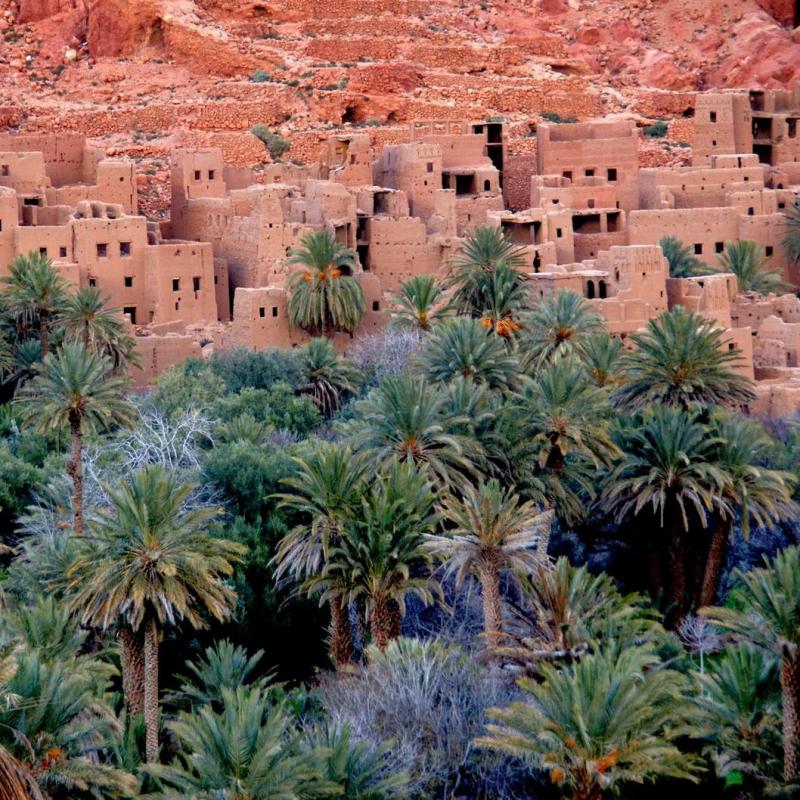 Meilleures excursions et expériences à Ouarzazate