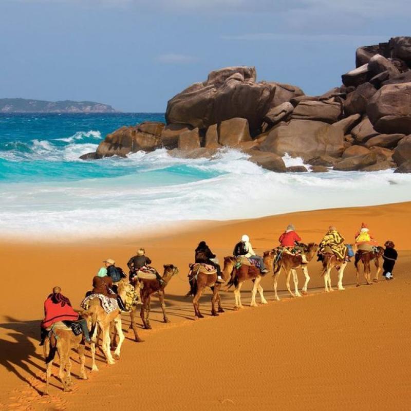 Le Tour "Mer & Désert" : Un circuit incontournable au Maroc