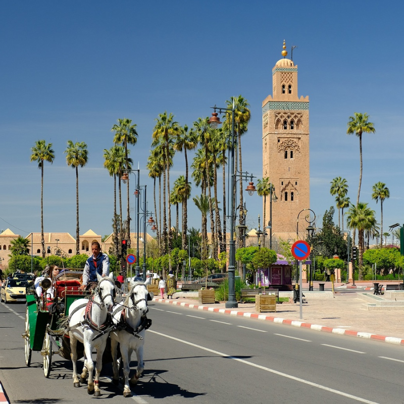 Marrakech… Les Meilleures excursions et visites de ville