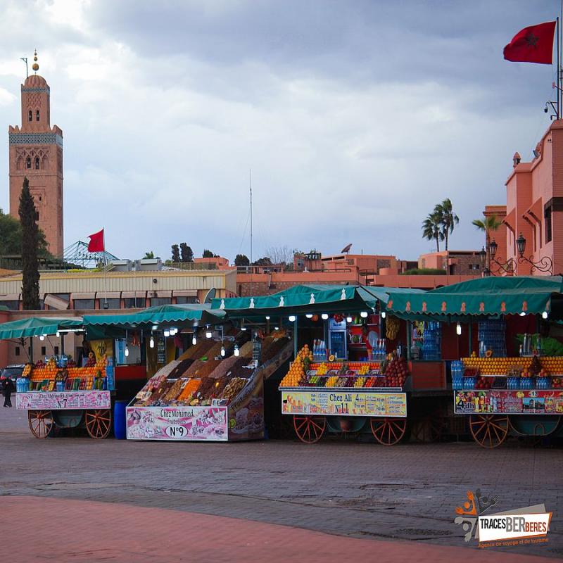 Excursions et expériences inédites à Marrakech