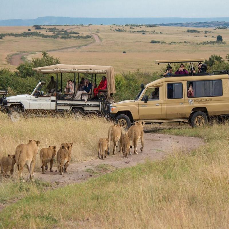 Safari écoresponsable en Afrique : 3 sites d'exception