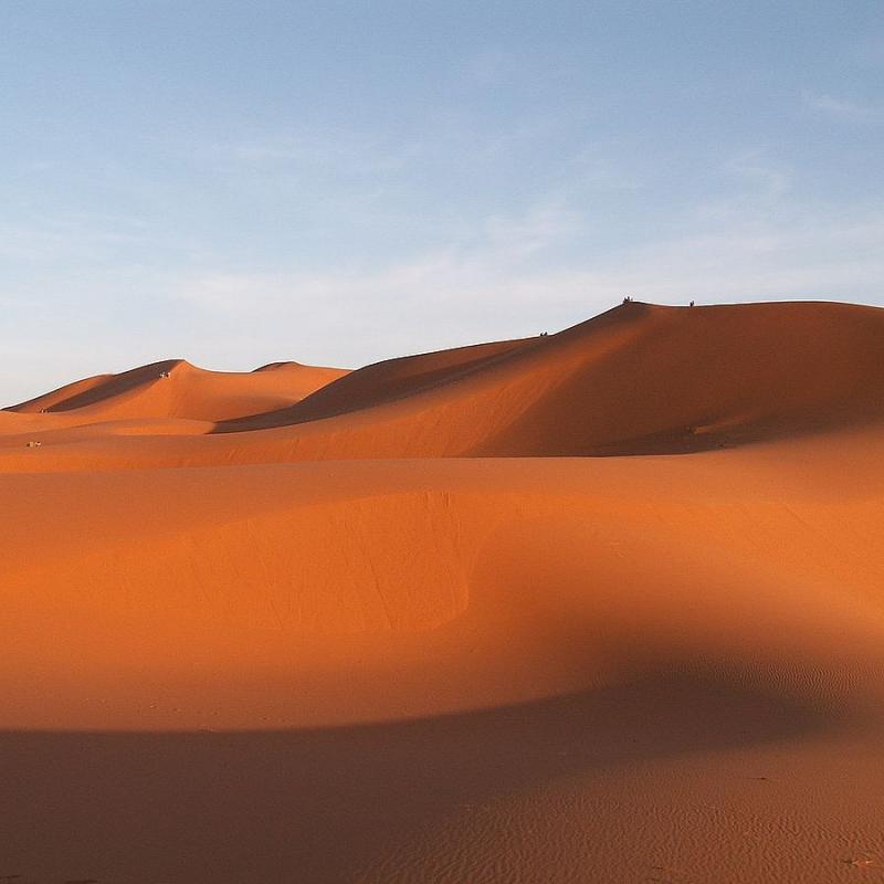 Le Sahara Marocain: L'Élégance de la Nature Sauvage
