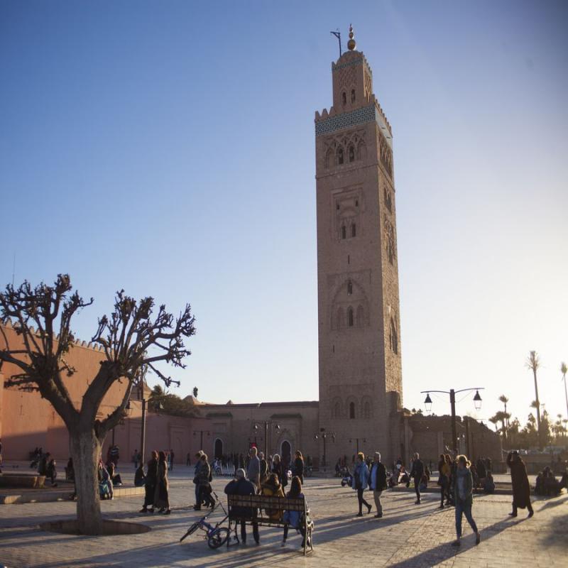Visite de Marrakech: Jardins & Monuments