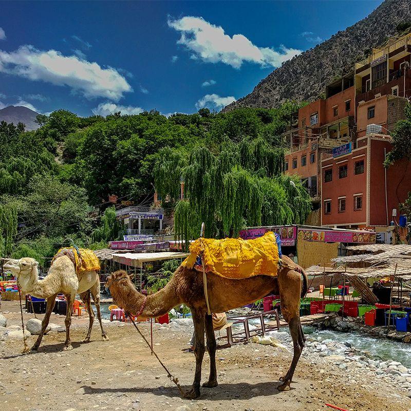 Aventure Berbère à La Vallée d’Ourika