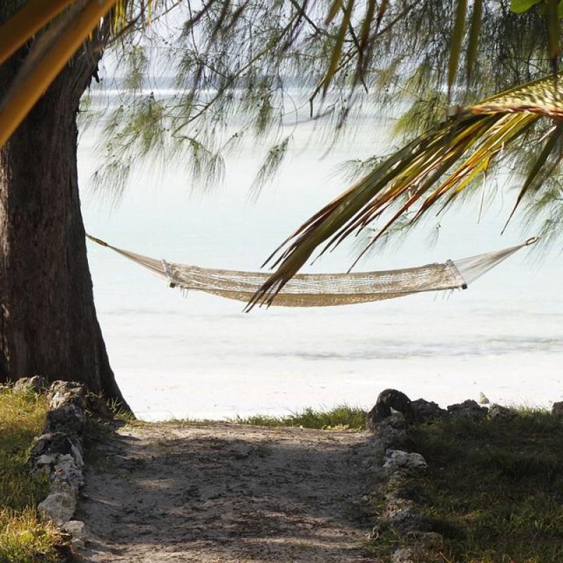 Quelques îles à visiter pour un séjour exotique en Afrique
