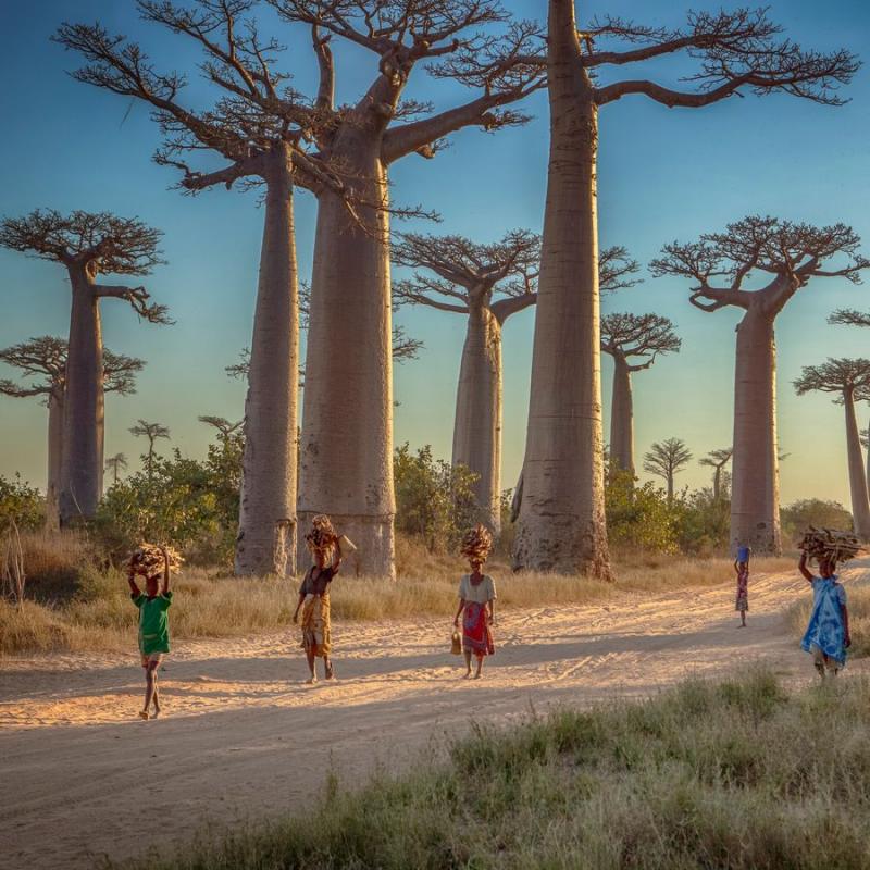 Explorer Madagascar à travers le Tourisme Responsable