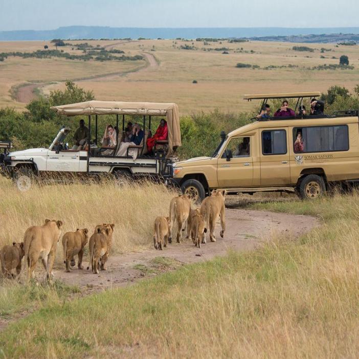 safari-ecoresponsable-afrique.jpg